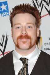 Stephen Farrelly