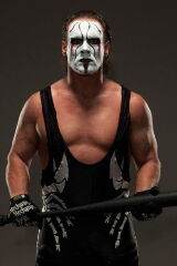 Steve Borden