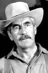 Steve Darrell