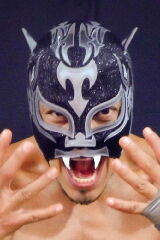Tigre Uno