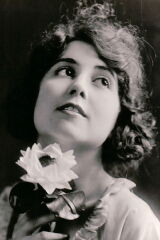 Vola Vale