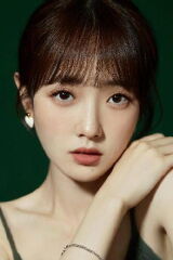 Wang Luqing