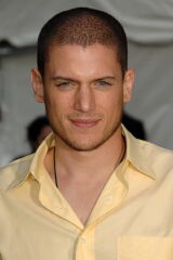 Wentworth Miller