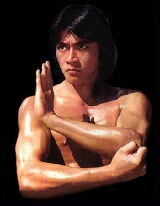 Willy Dozan