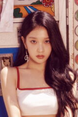 Y:SY