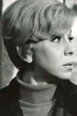 Zofia Kucówna