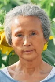 Cao Zhenlin