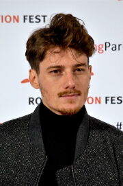 Domenico Diele