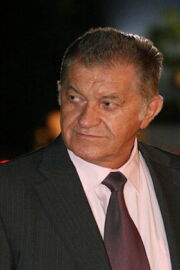 Dorel Vișan
