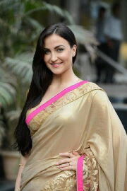 Elli Avram