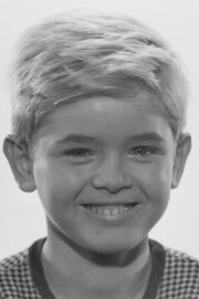 Hartmut Schwerdtfeger