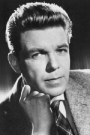 Heinz Drache