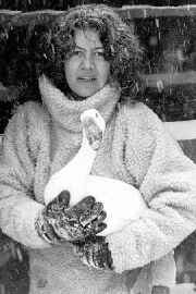Jane Wodening