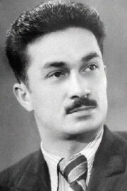 Lutfi Memmedbeyli