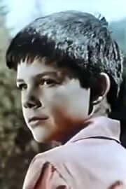 Lutz Manke
