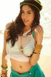 Pattarasaya Kreursuwansiri