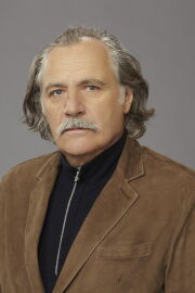 Rade Šerbedžija