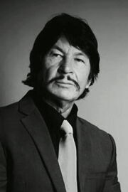 Robert Bronzi