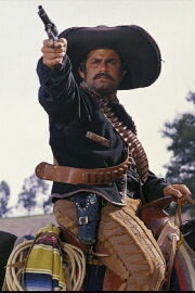 Ron Stein