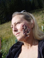 Toril Skansen