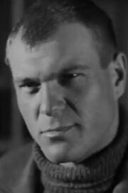 Vladimir Voyshvillo