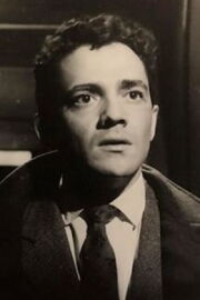 Walter Vidarte