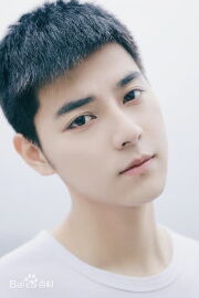 Yuan Zhiying