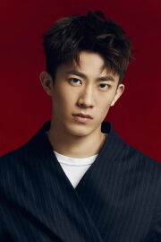 Zhang Kaitai