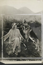 Jane Murfin