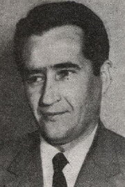 Slavoljub Stefanović-Ravasi