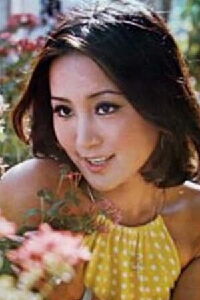 Chen Ping