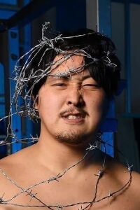 Hideyoshi Kamitani