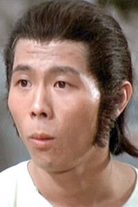 Hsiao Ho