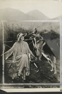 Jane Murfin