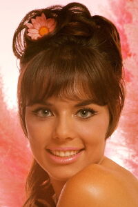 Jo Collins