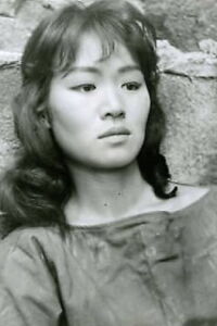 Judy Dan