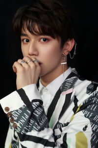 Lai Zongying