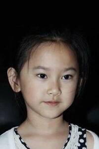 Lesi Liu