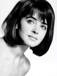 Maja Wodecka