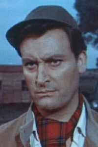 Nando Angelini