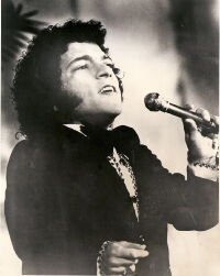 Nelson Ned