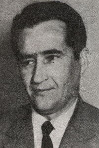 Slavoljub Stefanović-Ravasi
