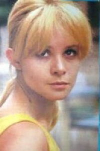 Snežana Nikšić