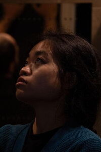 T. L. Vu