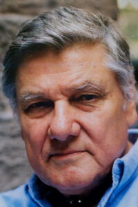 Vladimir Bibic