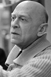 Vladimir Rapoport