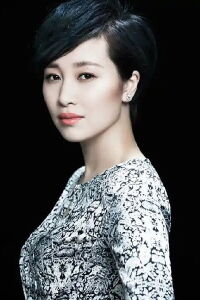 Zhao Jie