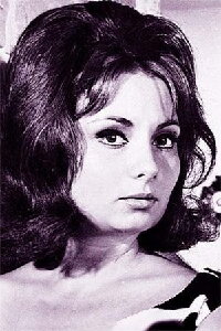Belgin Doruk