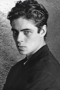 Benicio del Toro