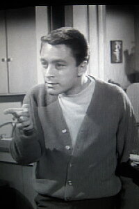 Bill Bixby